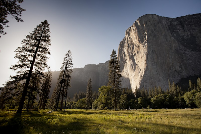 Yosemite, California